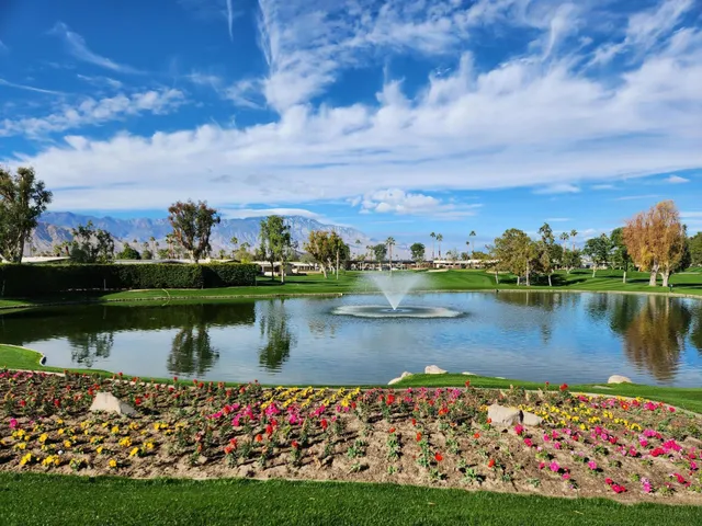 a view of a lake with a city view