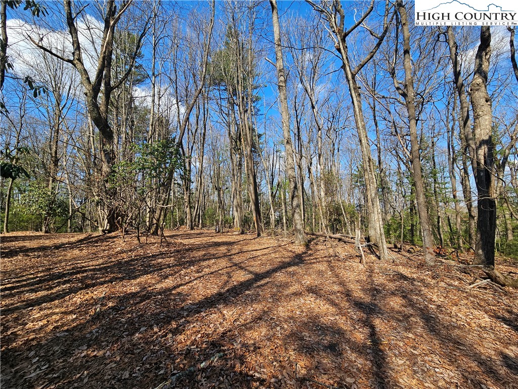 Mount Retreat Road Glade Valley, NC 28627 - Photo 11 of 16 a view of dirt yard with a large tree
