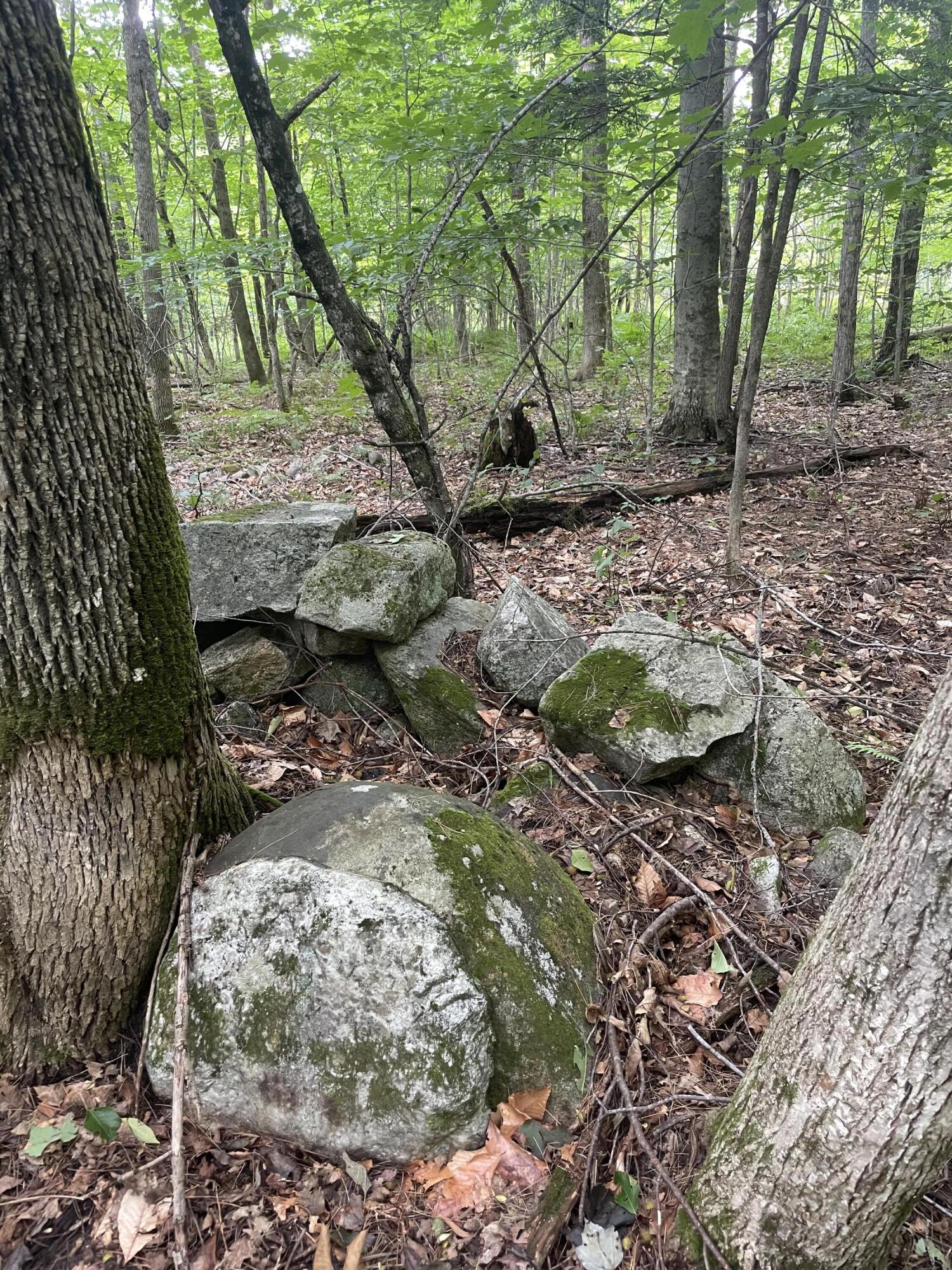 13-2a Nason Road Limerick, ME 04048 - Photo 4 of 4 IMG-6242