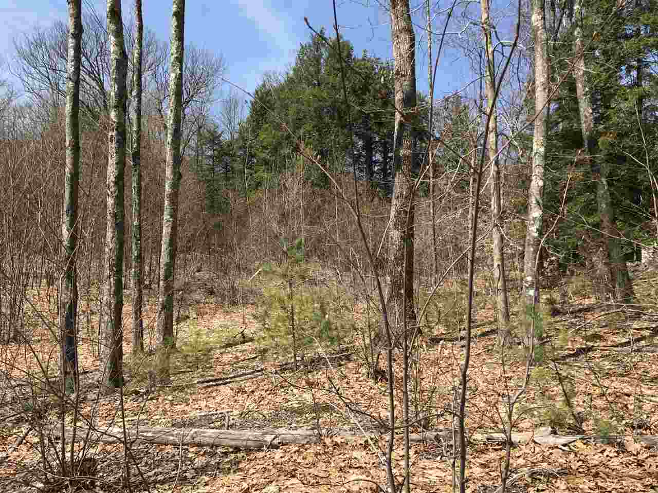 15 Coles Ledge Road Barnstead, NH 03218 - Photo 2 of 7