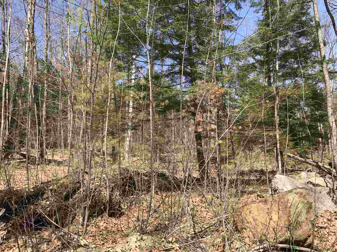 15 Coles Ledge Road Barnstead, NH 03218 - Photo 5 of 7