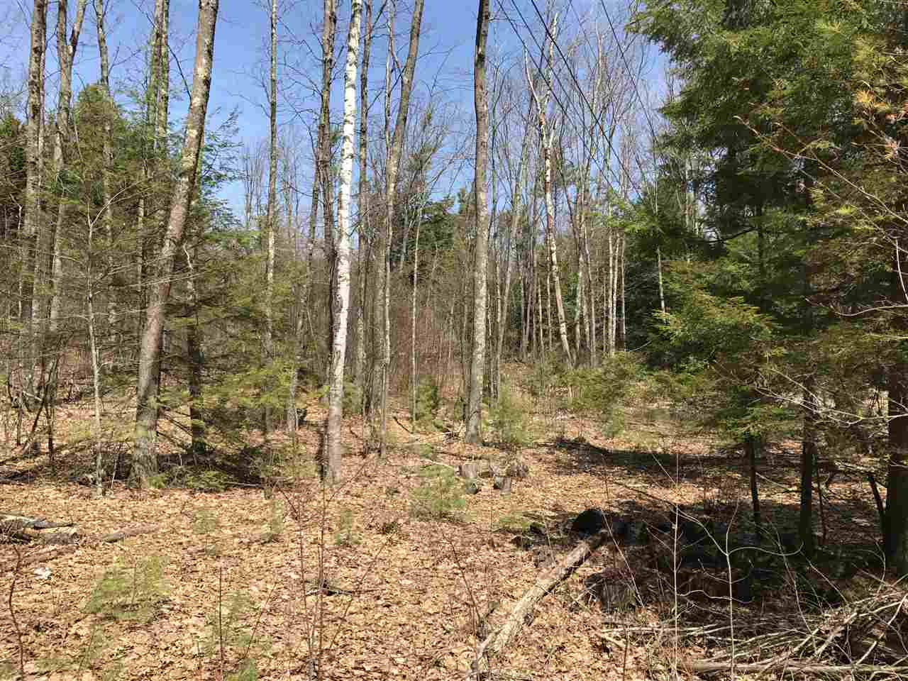 15 Coles Ledge Road Barnstead, NH 03218 - Photo 6 of 7
