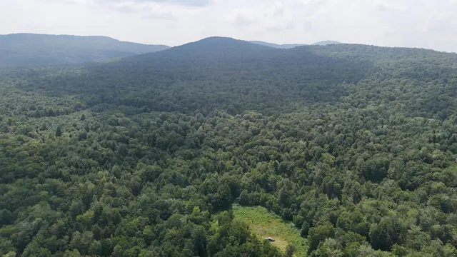 $428,000 | 0 Bog Road, Belvidere Center, VT 05442