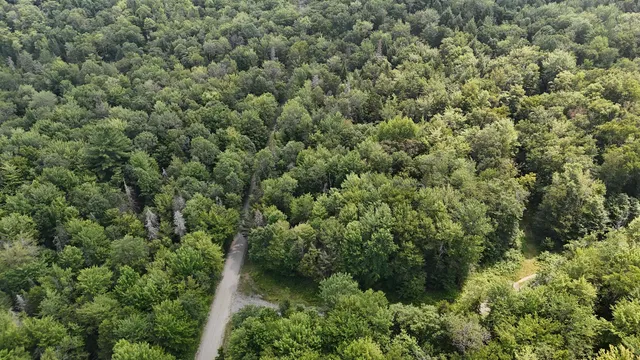 $428,000 | 0 Bog Road, Belvidere Center, VT 05442