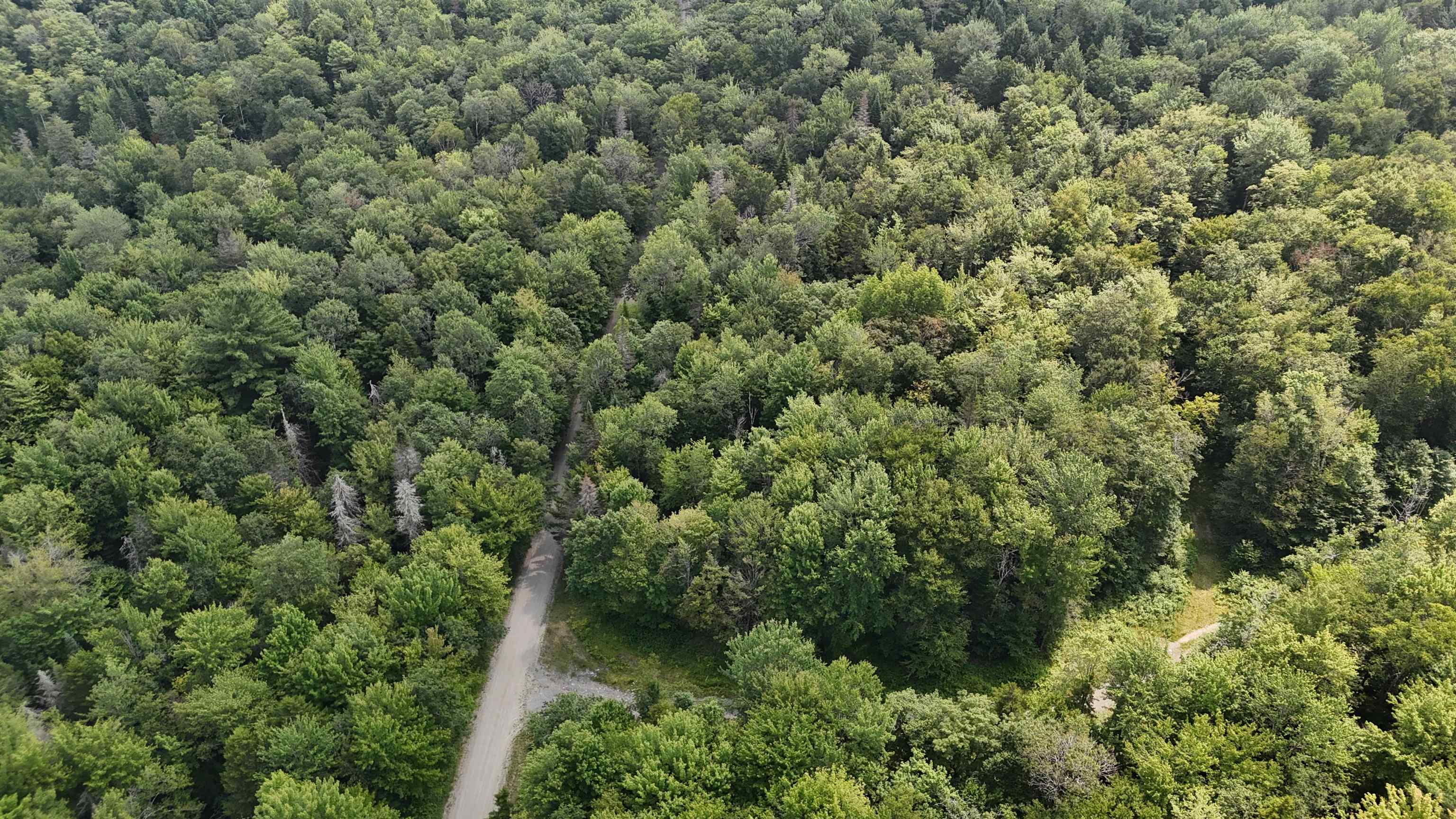 0 Bog Road Belvidere Center, VT 05442 - Photo 11 of 20