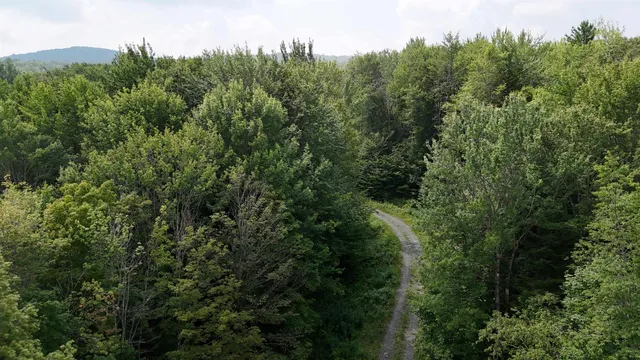 $428,000 | 0 Bog Road, Belvidere Center, VT 05442