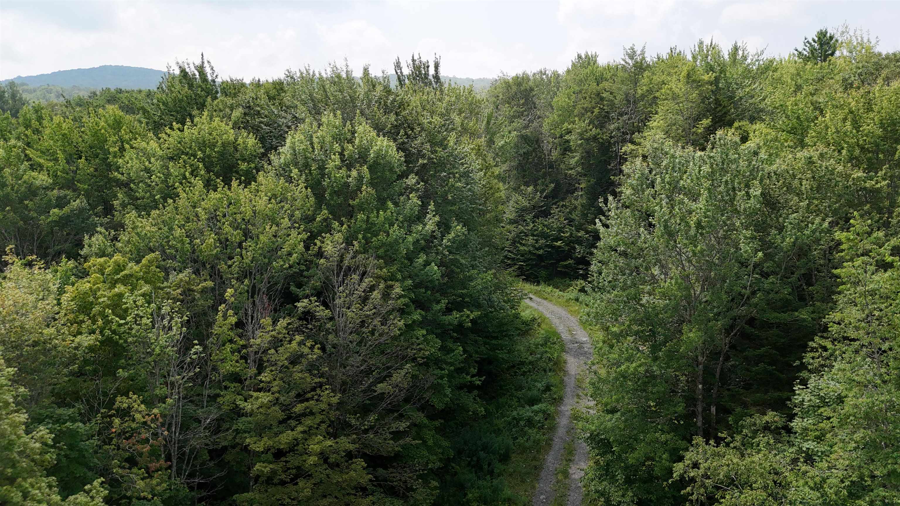 0 Bog Road Belvidere Center, VT 05442 - Photo 12 of 20