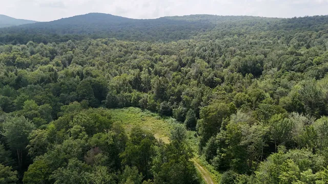 $428,000 | 0 Bog Road, Belvidere Center, VT 05442