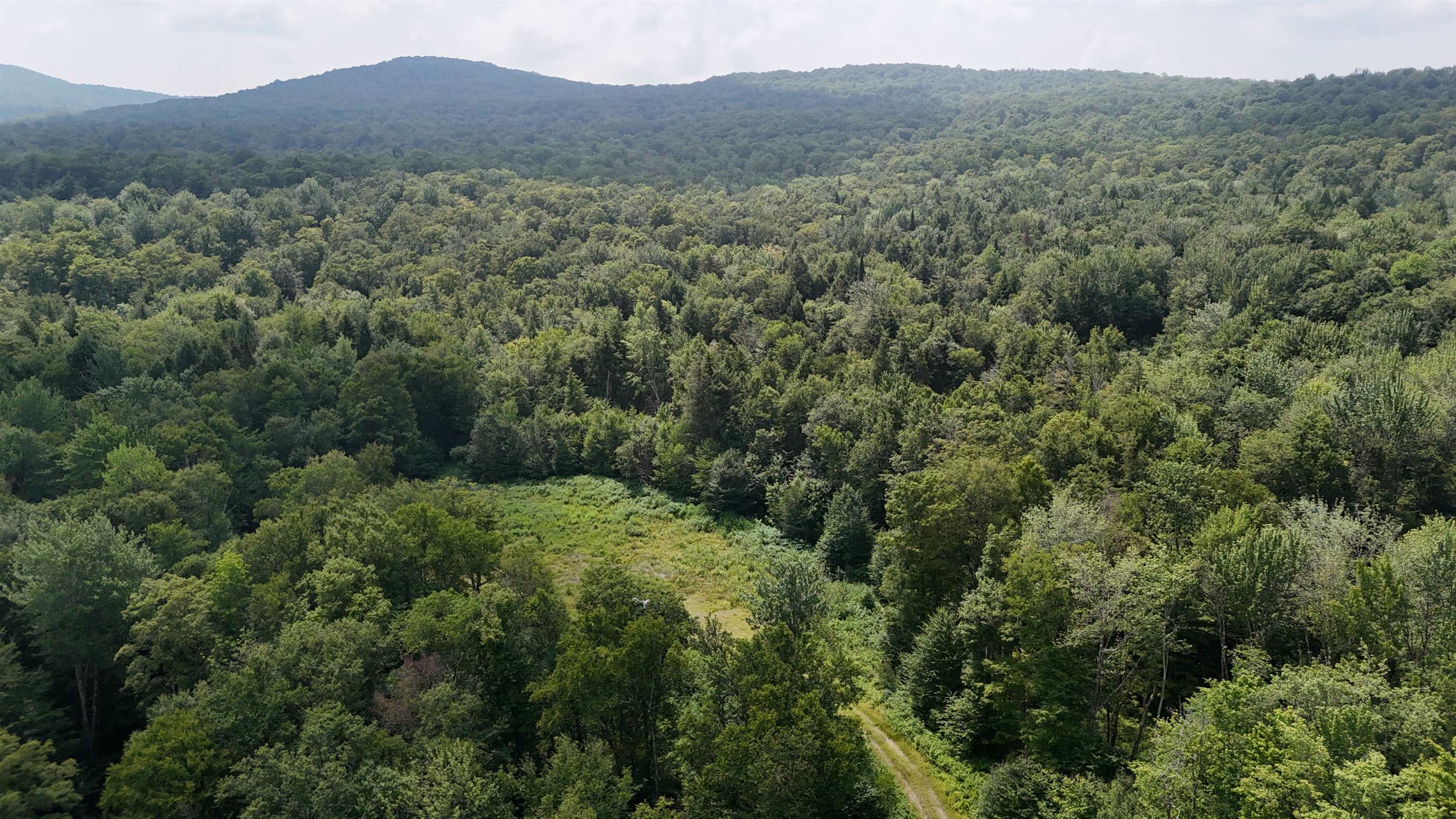 0 Bog Road Belvidere Center, VT 05442 - Photo 13 of 20