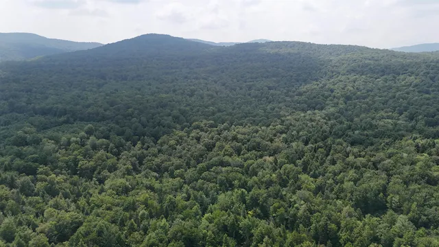 $428,000 | 0 Bog Road, Belvidere Center, VT 05442