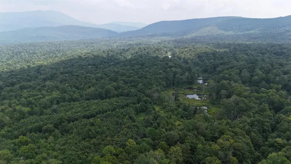$420,000 | 0 Bog Road, Belvidere Center, VT 05442