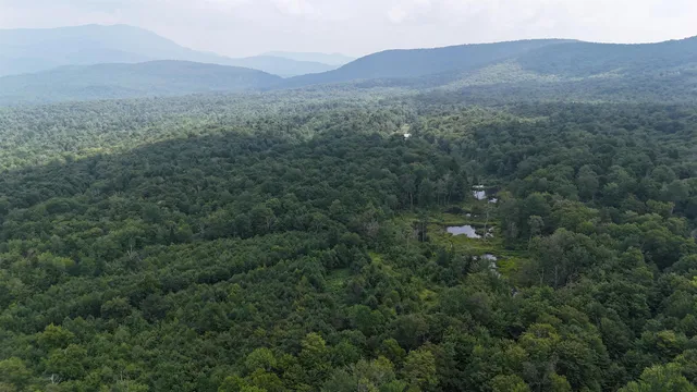 $428,000 | 0 Bog Road, Belvidere Center, VT 05442