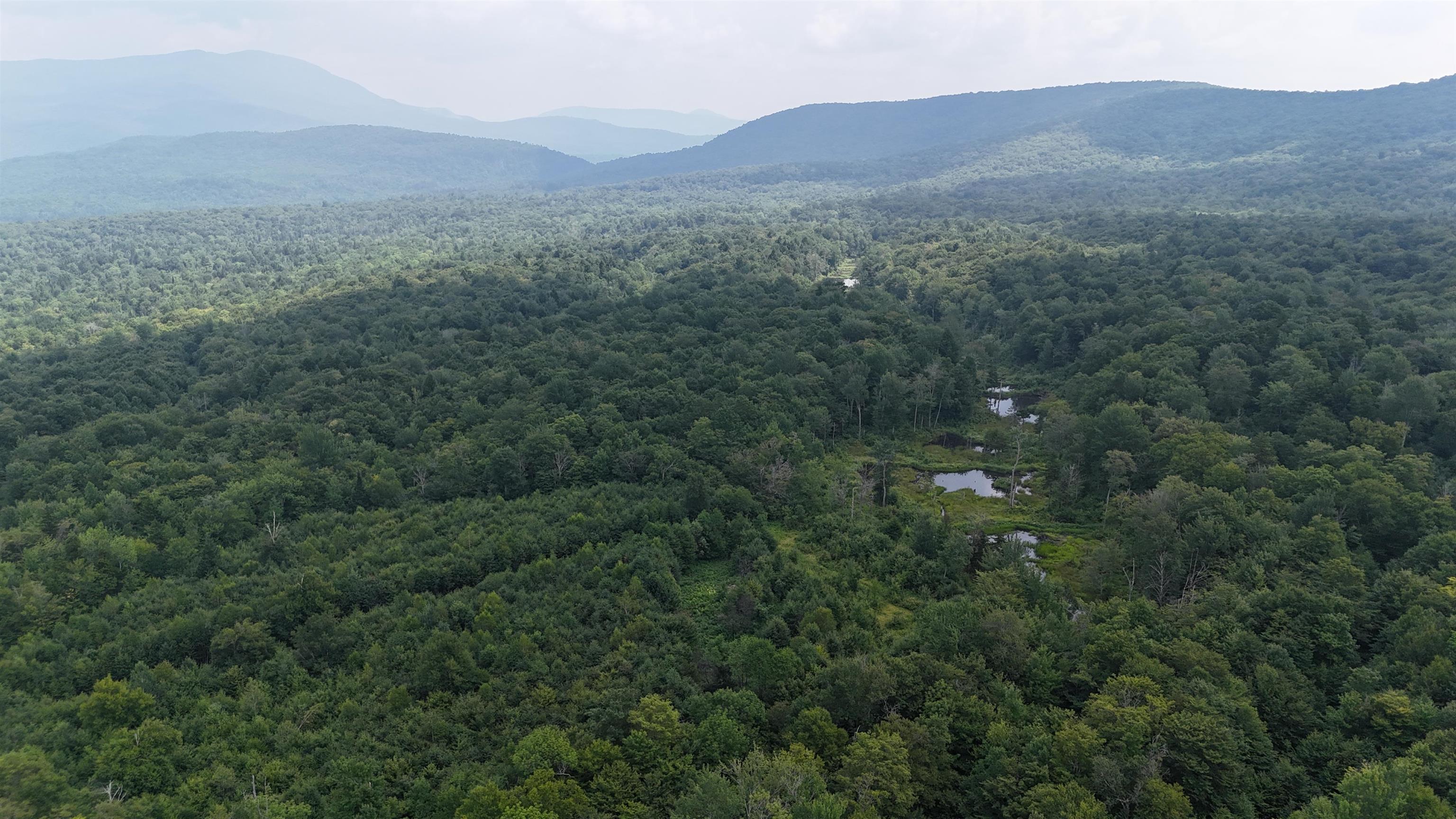 0 Bog Road Belvidere Center, VT 05442 - Photo 15 of 20