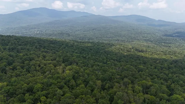 $428,000 | 0 Bog Road, Belvidere Center, VT 05442