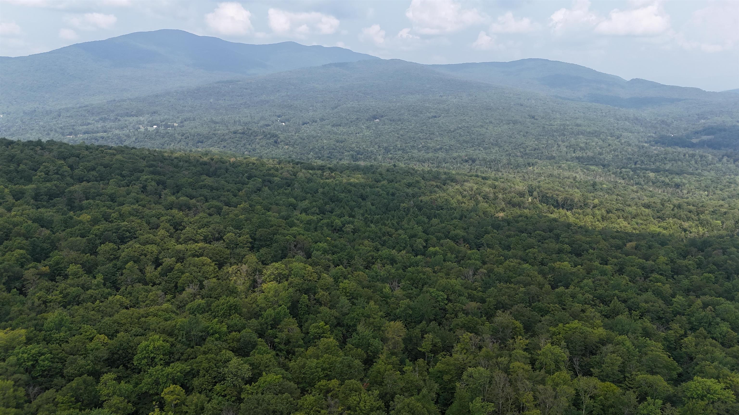 0 Bog Road Belvidere Center, VT 05442 - Photo 16 of 20