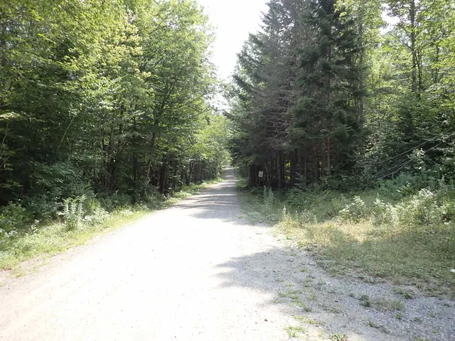 $428,000 | 0 Bog Road, Belvidere Center, VT 05442