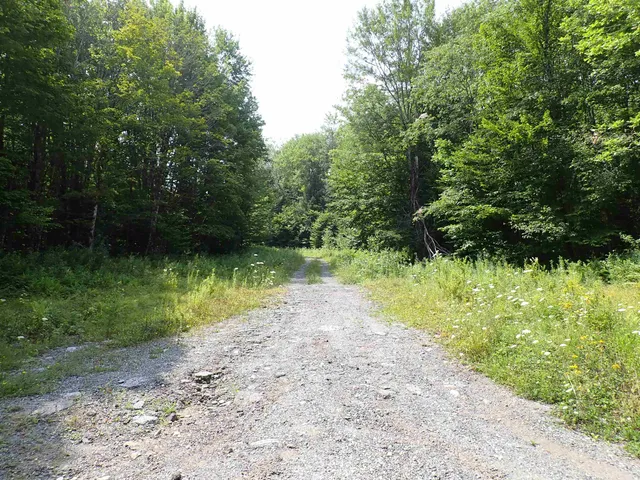$428,000 | 0 Bog Road, Belvidere Center, VT 05442
