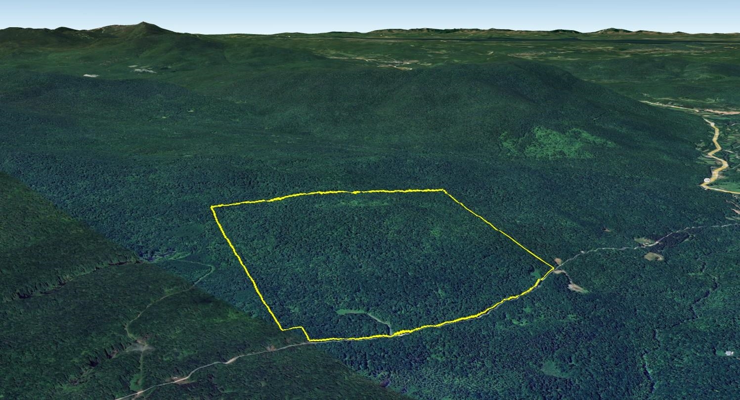 0 Bog Road Belvidere Center, VT 05442 - Photo 2 of 20