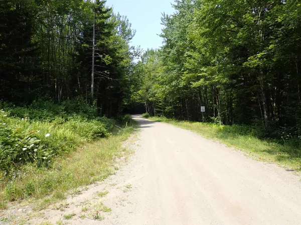 $420,000 | 0 Bog Road, Belvidere Center, VT 05442