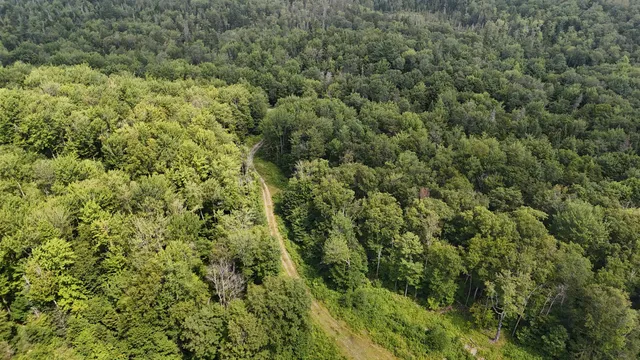 $428,000 | 0 Bog Road, Belvidere Center, VT 05442