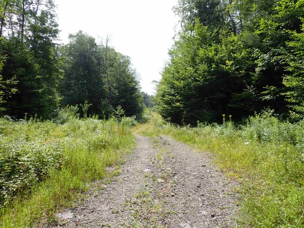 $420,000 | 0 Bog Road, Belvidere Center, VT 05442