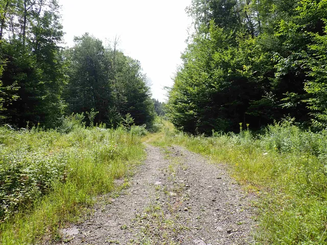 $428,000 | 0 Bog Road, Belvidere Center, VT 05442