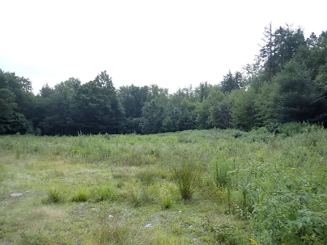 $428,000 | 0 Bog Road, Belvidere Center, VT 05442