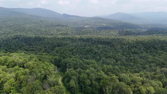 $428,000 | 0 Bog Road, Belvidere Center, VT 05442