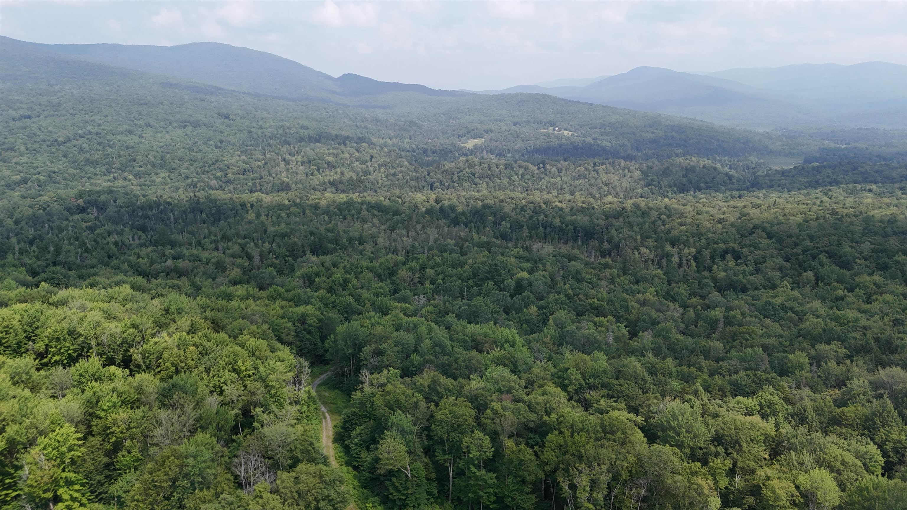 0 Bog Road Belvidere Center, VT 05442 - Photo 10 of 20