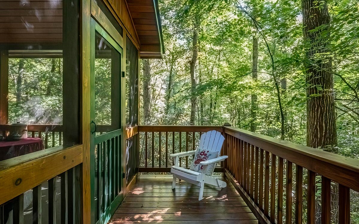 450 Hiawatha Trail Blue Ridge, GA 30513 - Photo 25 of 43 Additional View