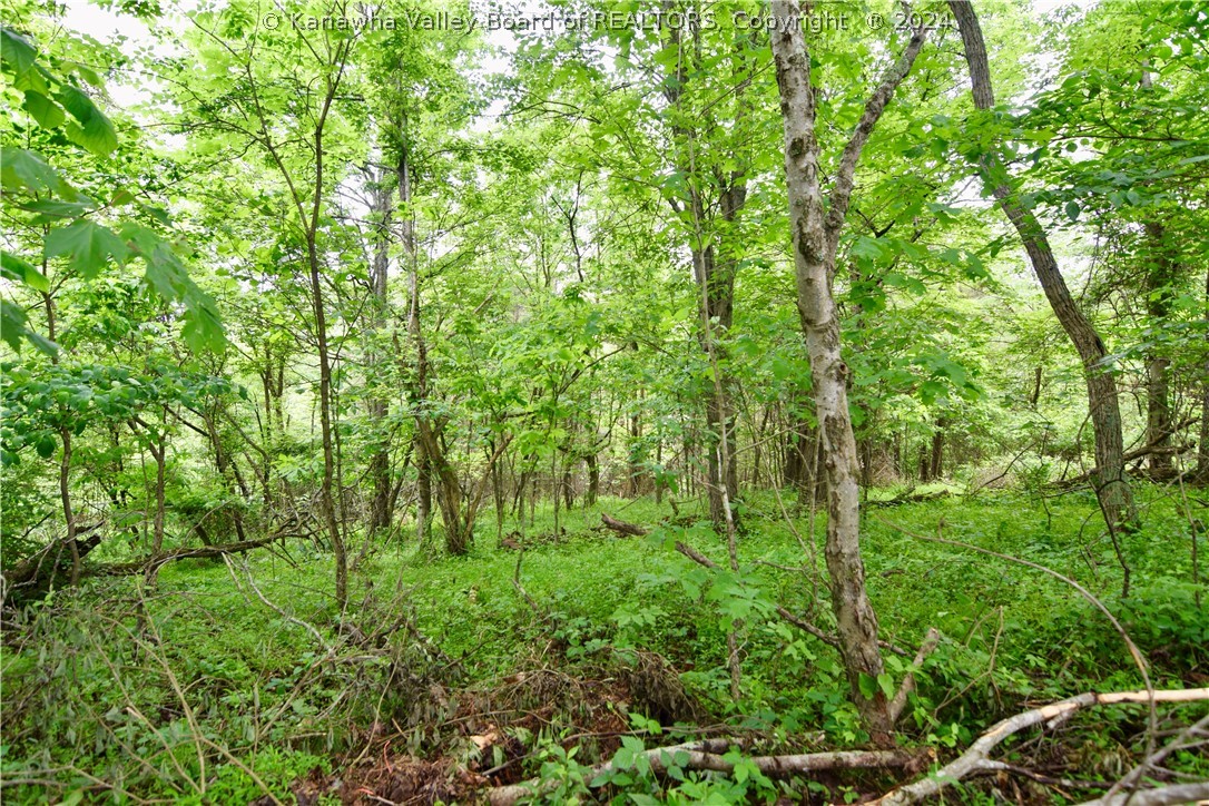 0 Silverton Road Ravenswood, WV 26164 - Photo 6 of 7 Gallery Image 6