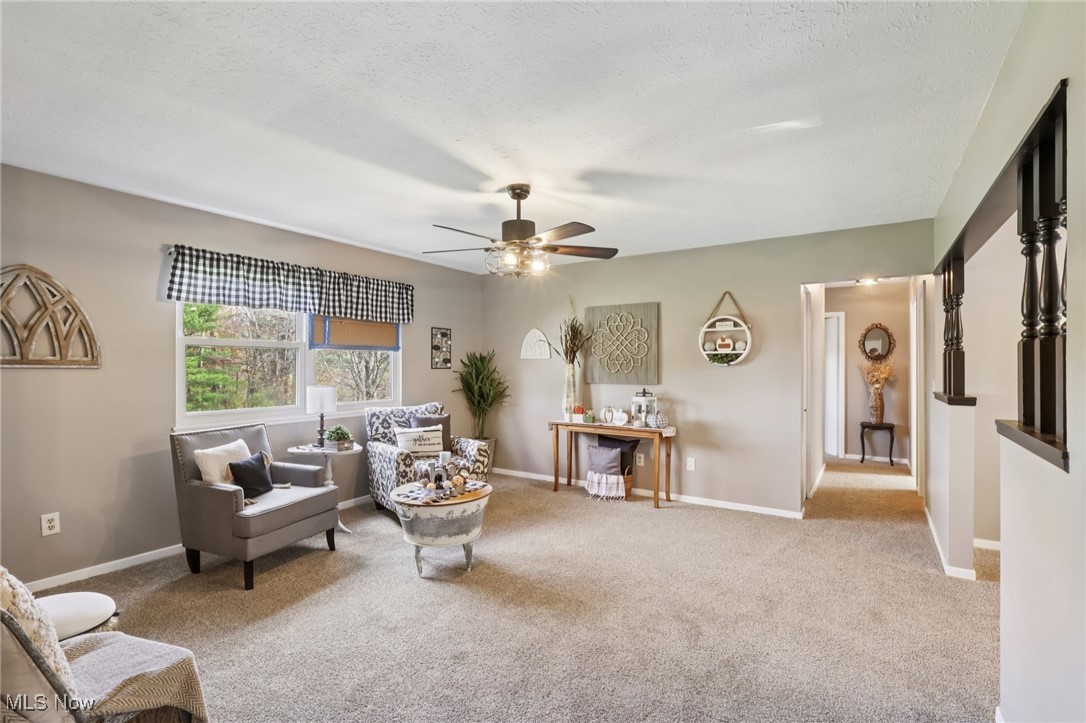 6370 Trumbull Road Geneva, OH 44041 - Photo 5 of 50 Living area featuring carpet floors, ceiling fan, and a textured ceiling