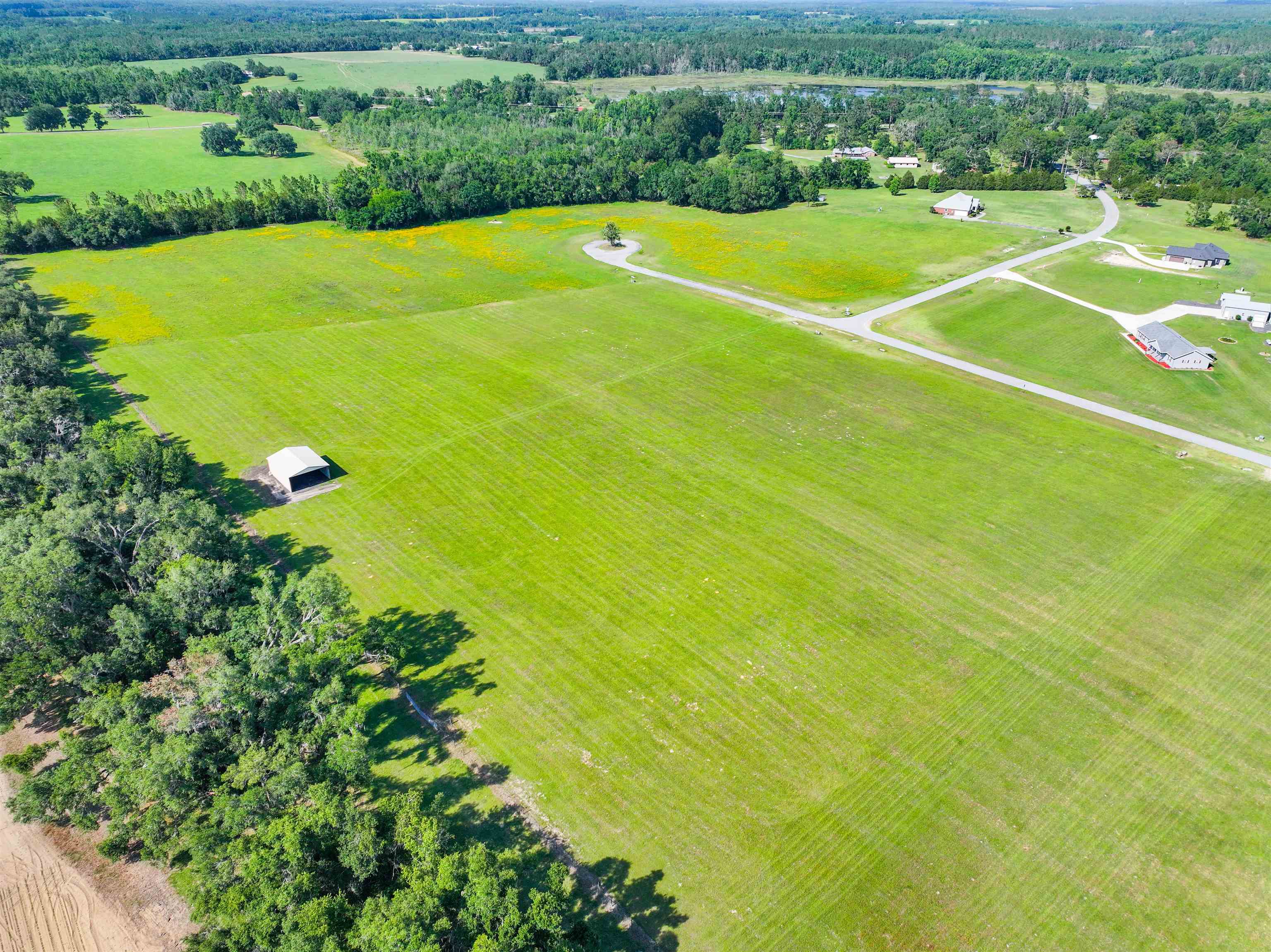 0 Northwest Loper Plantation Road Madison, FL 32340 - Photo 12 of 16
