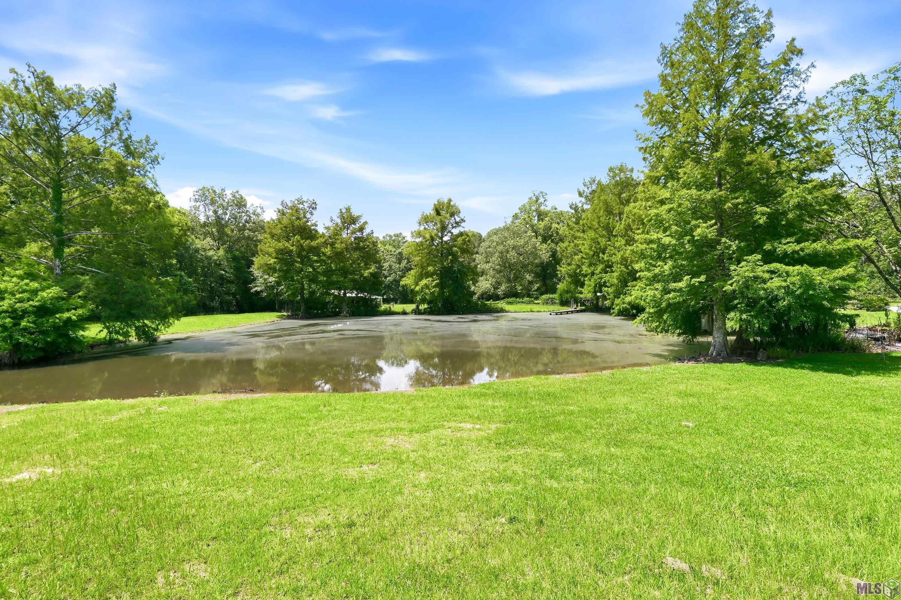 3374 Greenbriar Road Ethel, LA 70730 - Photo 38 of 43