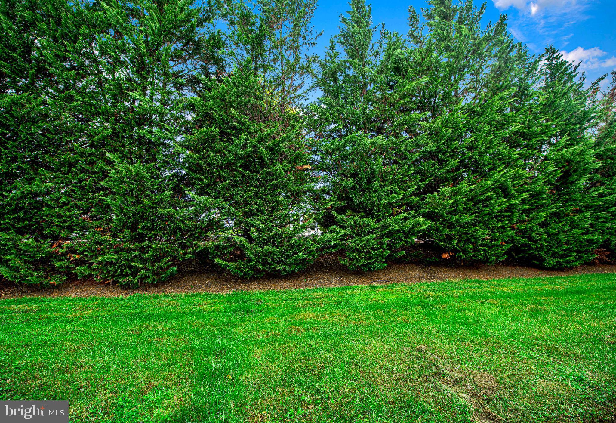 7105 Rutherford Green Circle Windsor Mill, MD 21244 - Photo 28 of 30 a view of a green yard