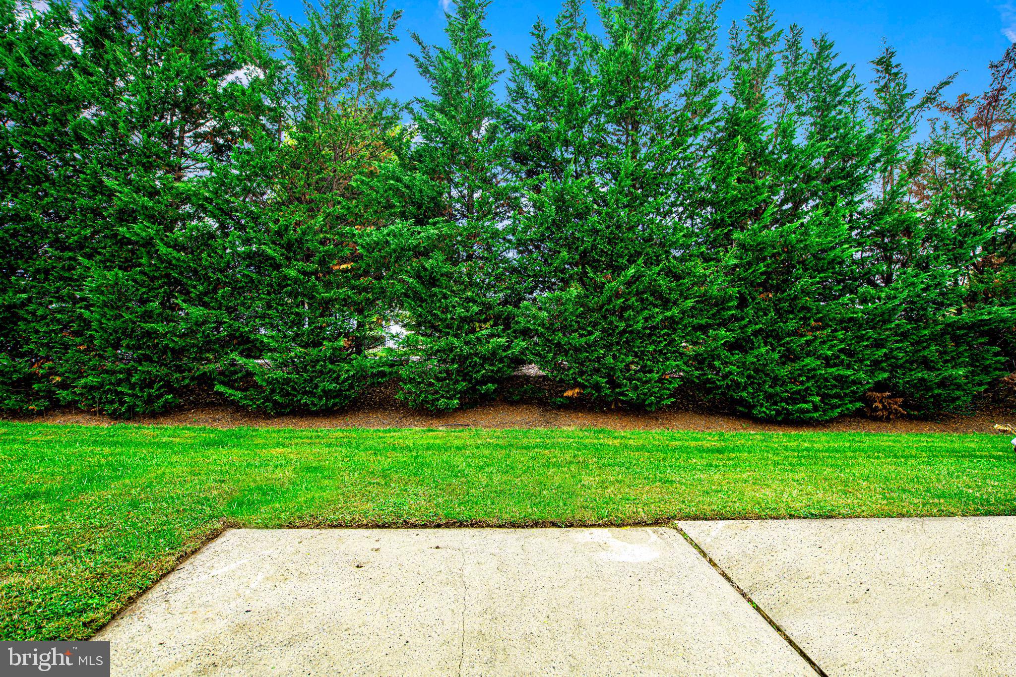 7105 Rutherford Green Circle Windsor Mill, MD 21244 - Photo 30 of 30 a view of a backyard with a garden