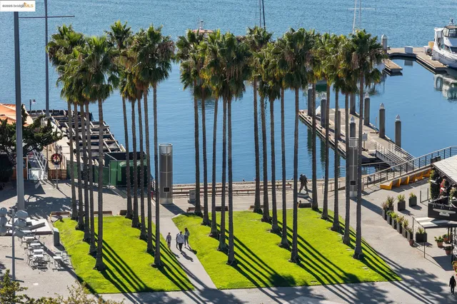 a view of a swimming pool with a garden
