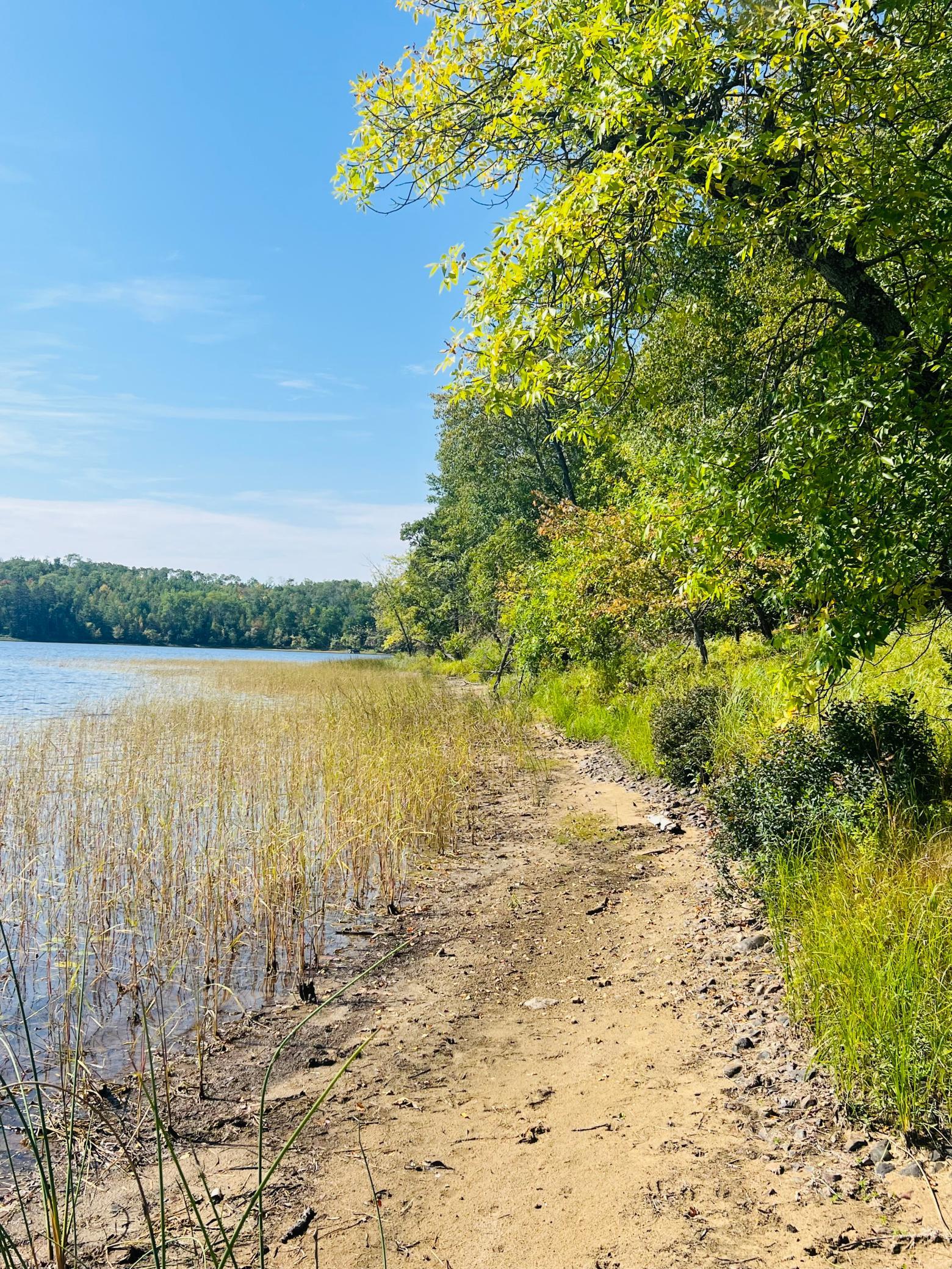 Tbd Wolf Crk Road Bovey, MN 55709 - Photo 14 of 15