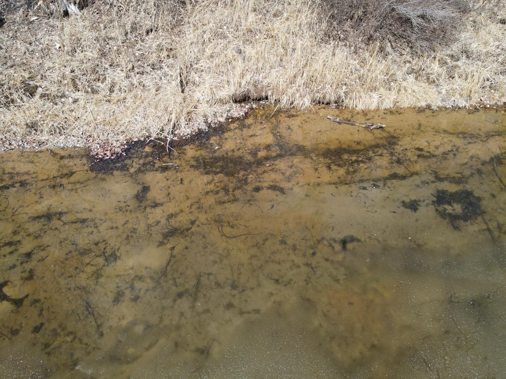 Tbd Wolf Crk Road Bovey, MN 55709 - Photo 8 of 15