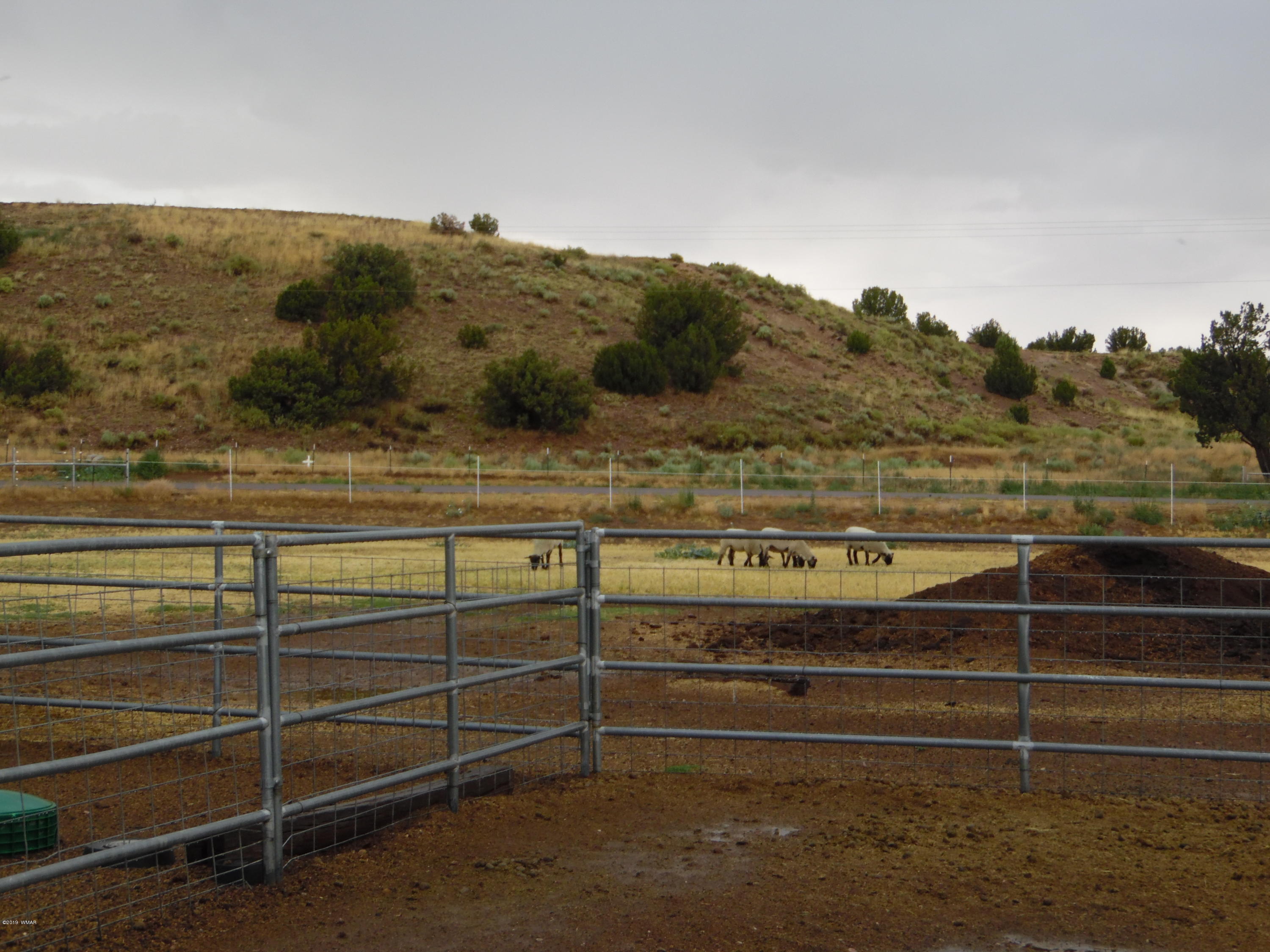 2645 Paper Mill Road Taylor, AZ 85939 - Photo 36 of 59