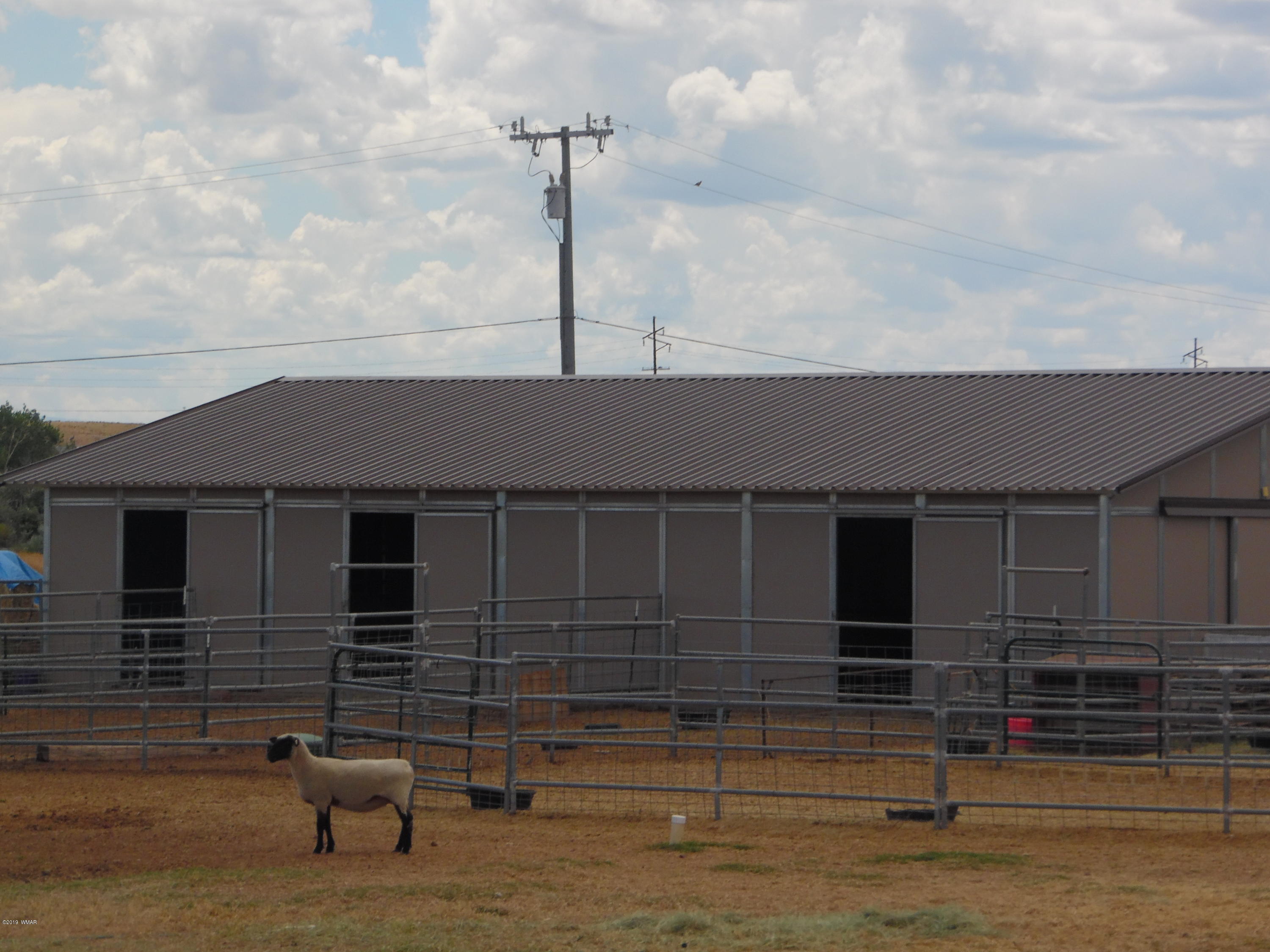 2645 Paper Mill Road Taylor, AZ 85939 - Photo 39 of 59