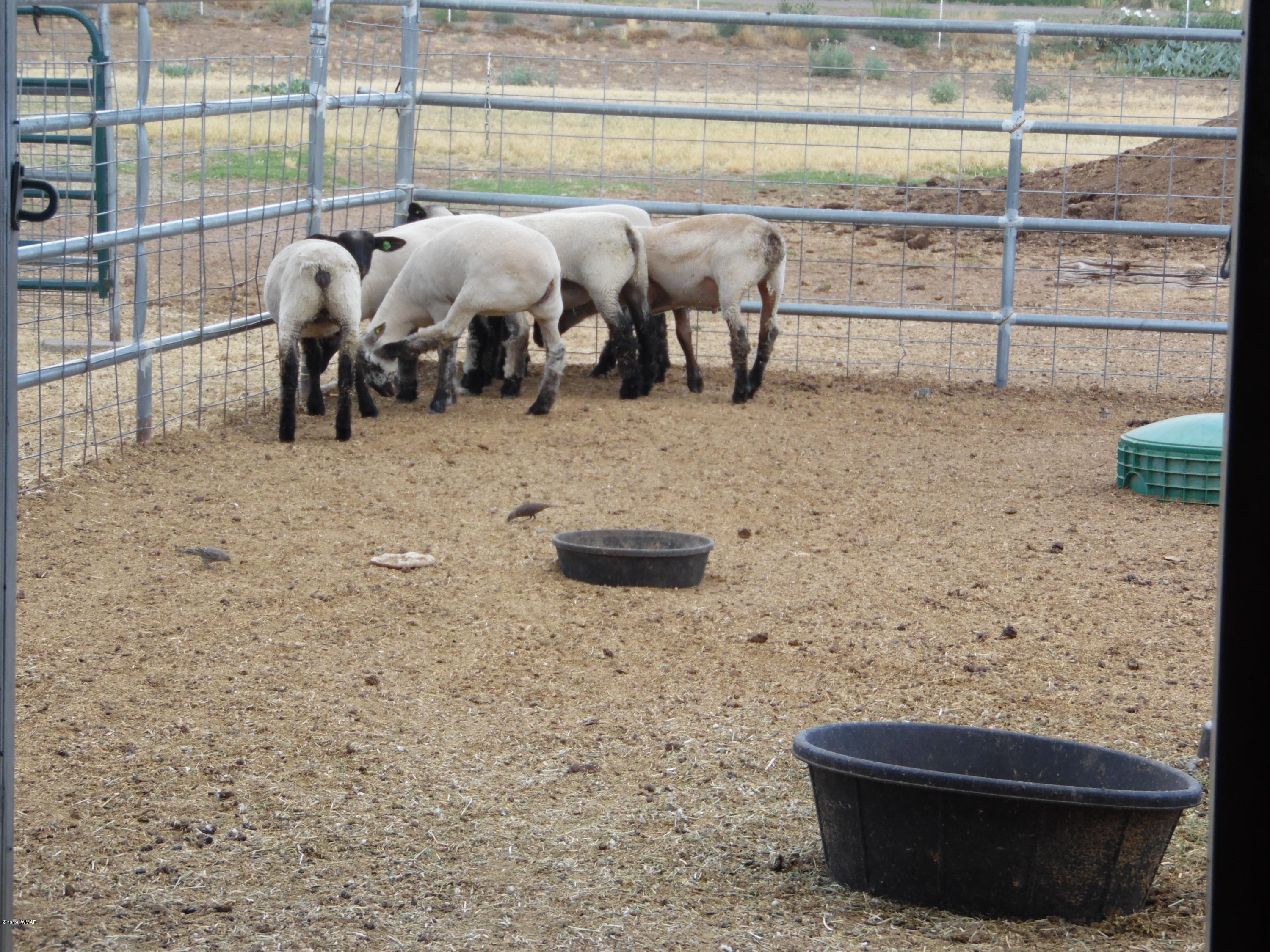 2645 Paper Mill Road Taylor, AZ 85939 - Photo 49 of 59
