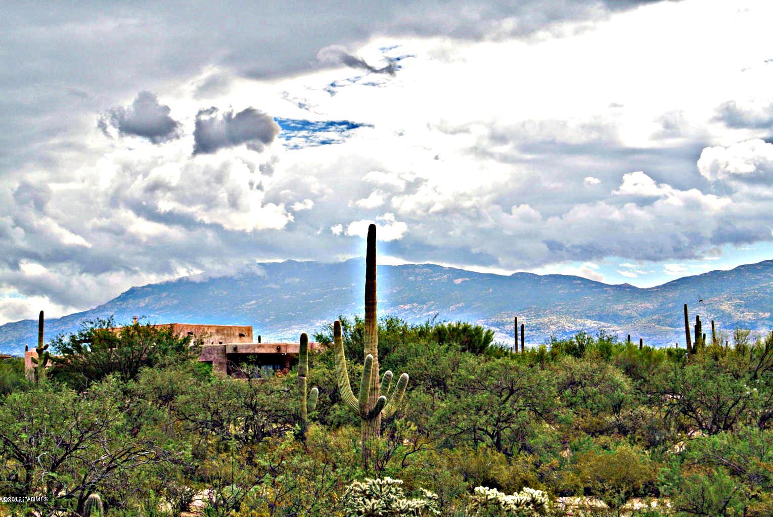 12356 East Prince Road, Unit 1 Tucson, AZ 85749 - Photo 3 of 7