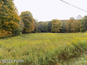 196 & 507 Newfoundland, PA 18445 - Photo 1 of 7