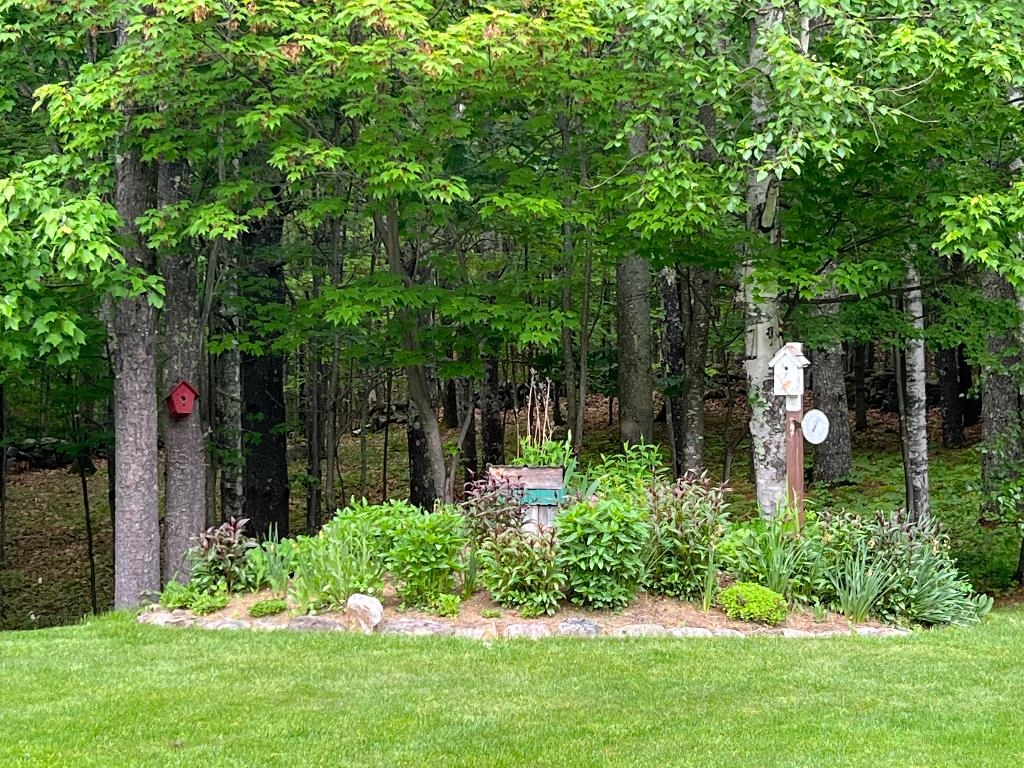194 Old Wolfeboro Road Alton, NH 03809 - Photo 4 of 25 Gallery Image 4