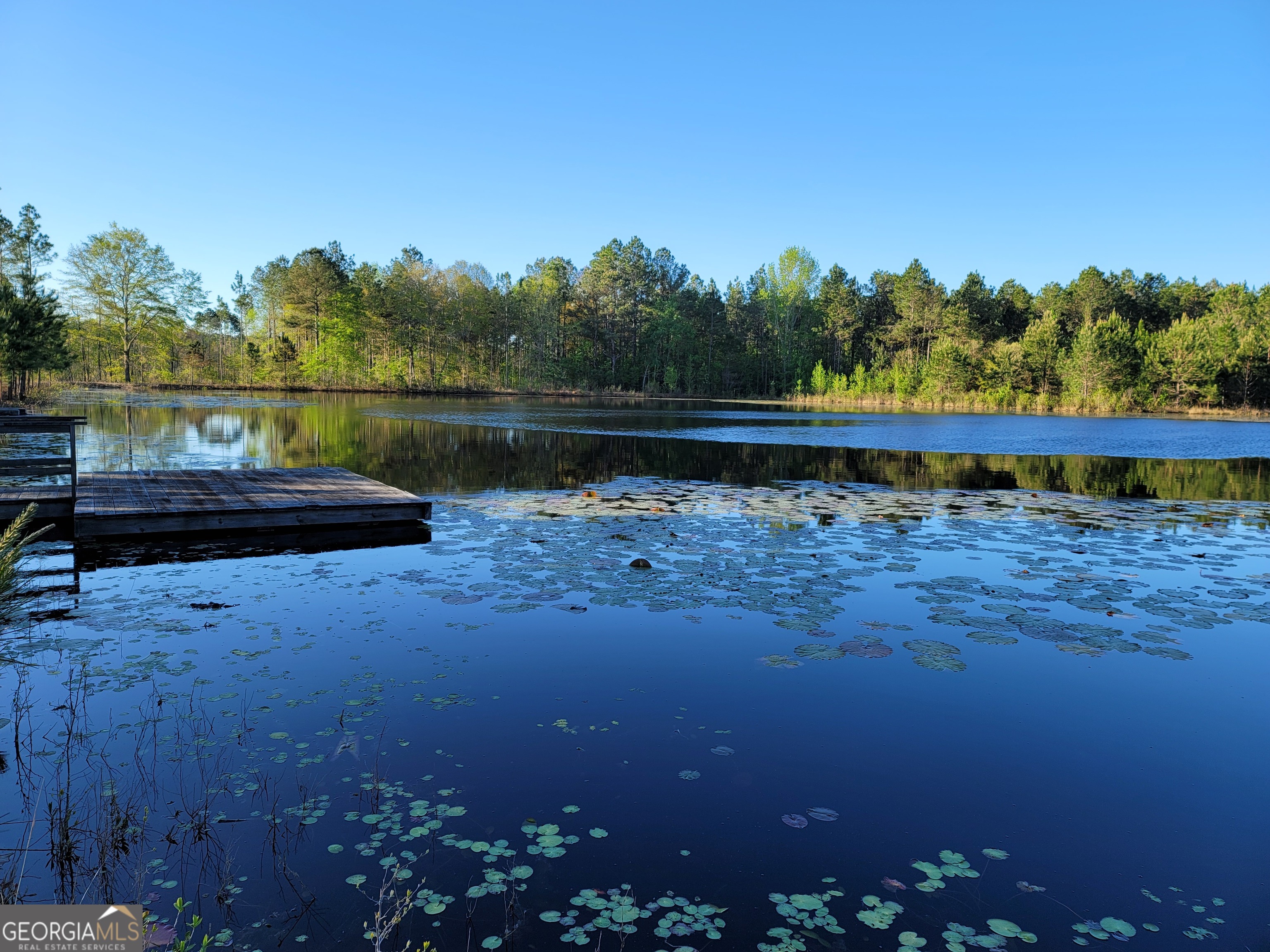 40 Drew Bennett Road Midville, GA 30441 - Photo 27 of 35