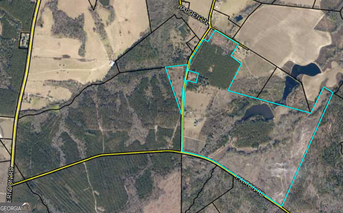 40 Drew Bennett Road Midville, GA 30441 - Photo 33 of 35