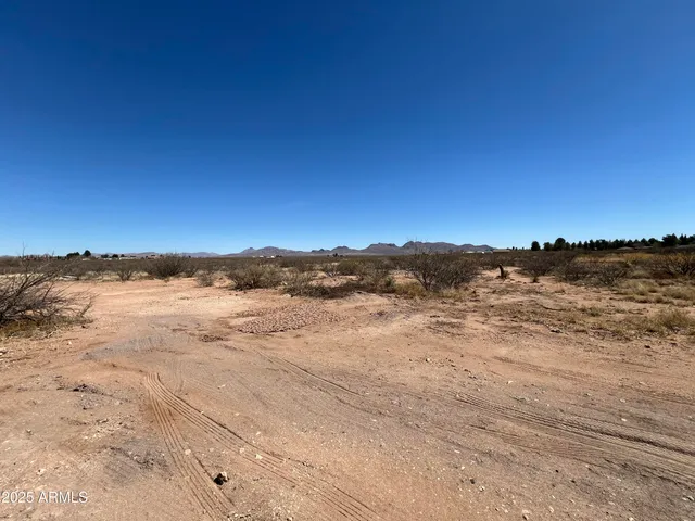 $25,000 | Xxx North Van Buren Avenue, Douglas, AZ 85607