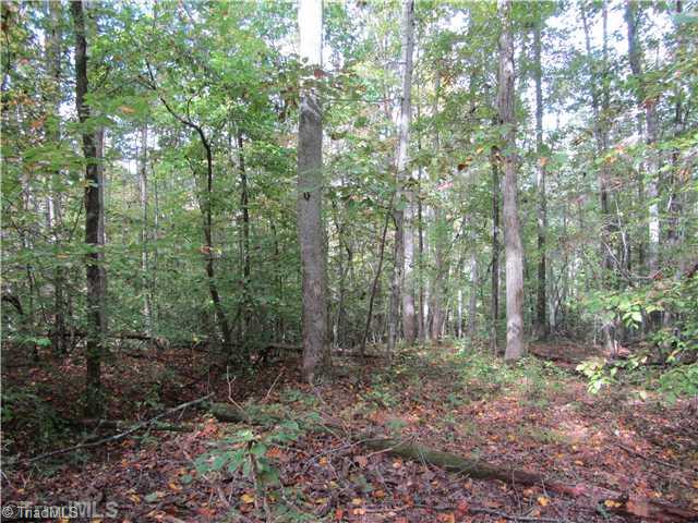 8312 Stafford Mill Road Oak Ridge, NC 27310 - Photo 2 of 5 Land.
