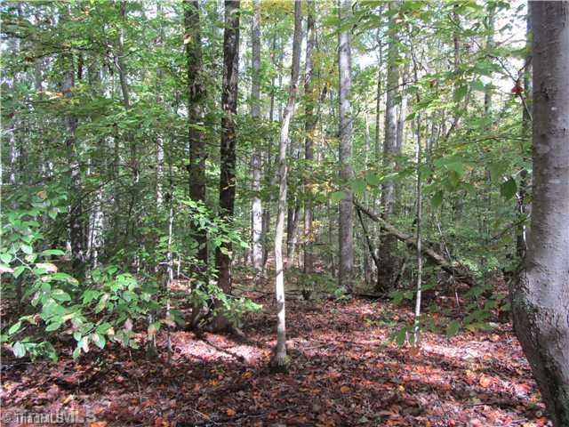 8312 Stafford Mill Road Oak Ridge, NC 27310 - Photo 3 of 5 Land.